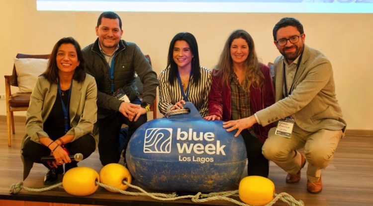 Blue Week5.jpg